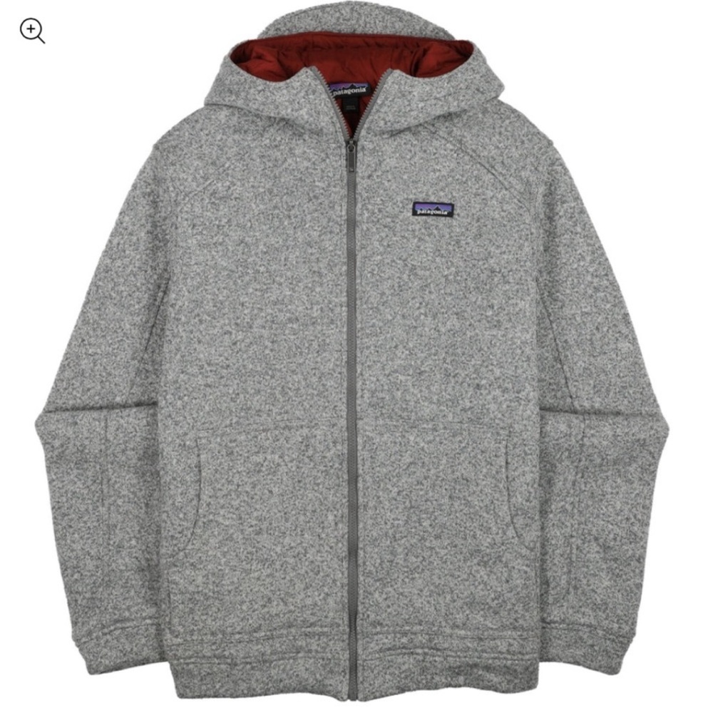 Patagonia Gray Hooded Jacket